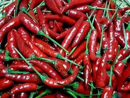 Bird�s Eye Red Chillies � Grade A